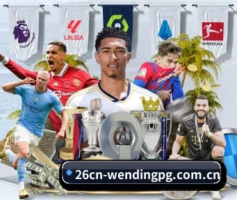 26cn-wendingpg.com.cn APP